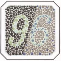 проверка на зрение картинки 