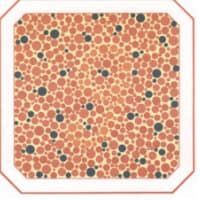 проверка на зрение картинки 