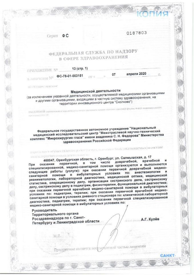 Лицензия МНТК им. Федорова