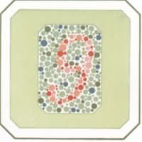 проверка на зрение картинки 