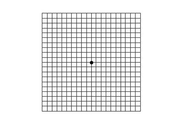 решетка Амслера скачать