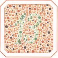 проверка на зрение картинки 